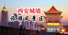 日逼逼黄片中国陕西-西安城墙旅游风景区